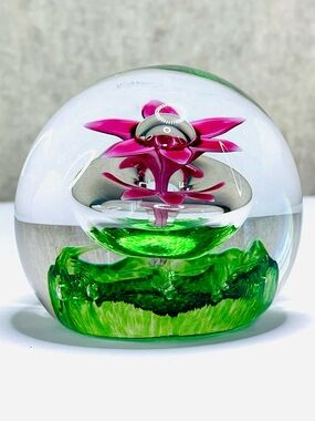 Caithness Hydroponic Botanical Flower Paperweight Gift Box Stand Certificate